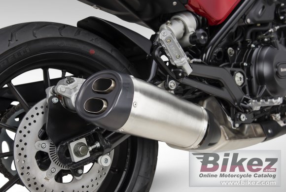 2019 Benelli Leoncino