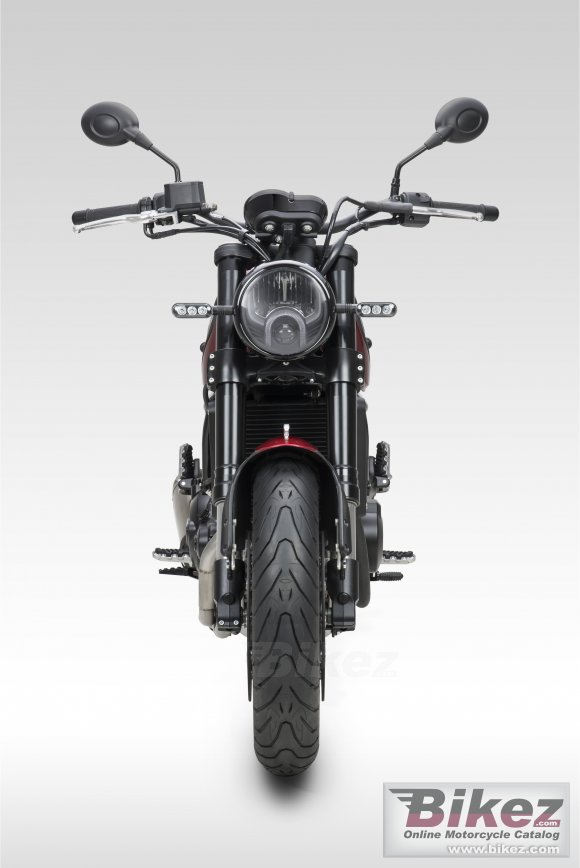 2019 Benelli Leoncino