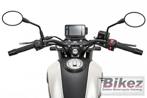 2019 Benelli Leoncino 250