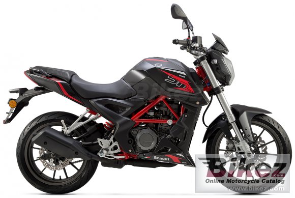 2019 Benelli BN 251