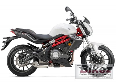 2019 Benelli BN 302