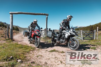 2022 Benelli TRK 502 X