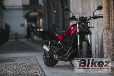 2022 Benelli Leoncino 500 ES