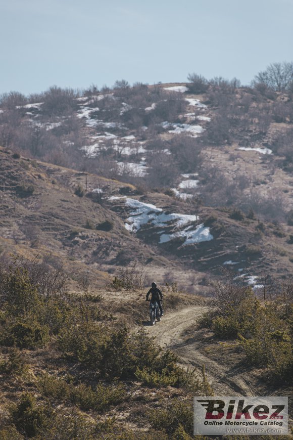 2022 Benelli Leoncino 500 Trail ES