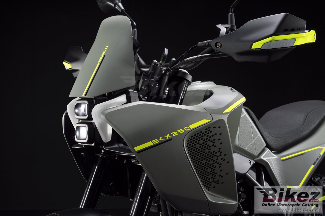 Benelli BKX 250