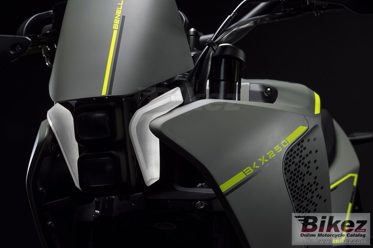 Benelli BKX 250