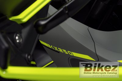 2023 Benelli BKX 250