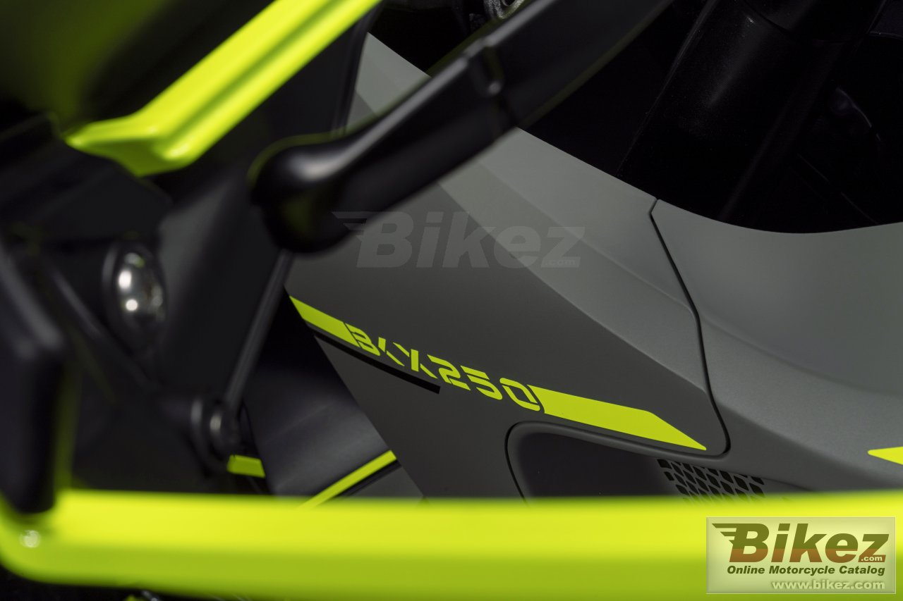Benelli BKX 250