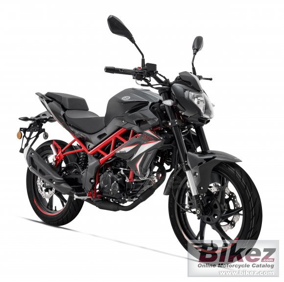 2023 Benelli BN 125