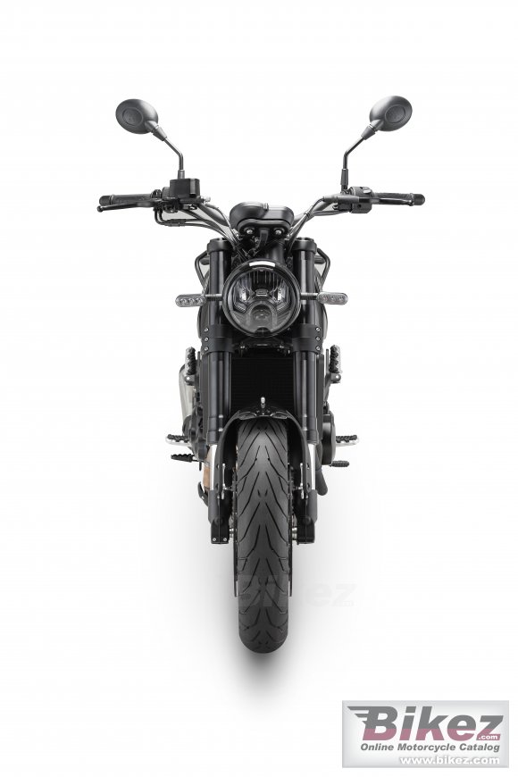 2023 Benelli Leoncino 500