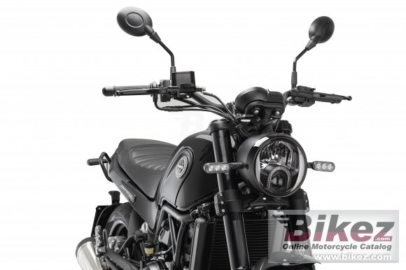 2023 Benelli Leoncino 500