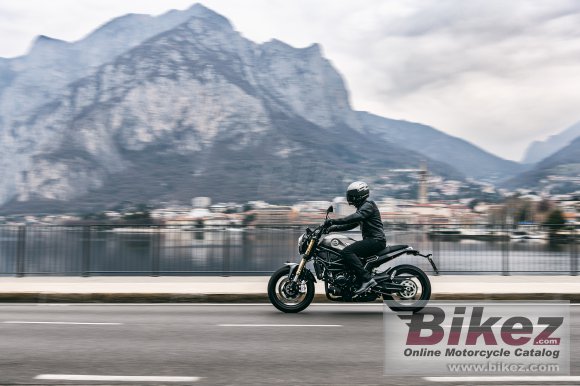 2023 Benelli Leoncino 800