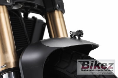 2023 Benelli Leoncino 800