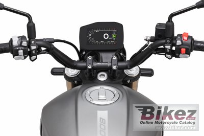 2023 Benelli Leoncino 800
