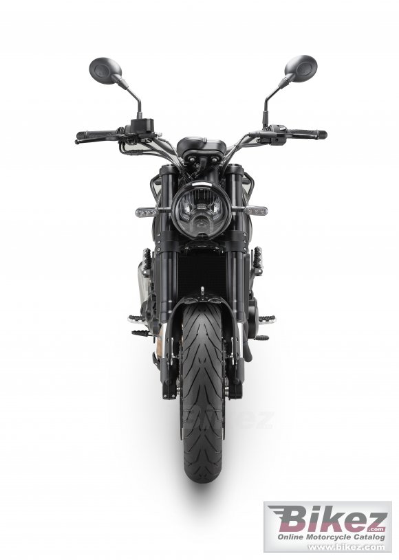 2024 Benelli Leoncino 500