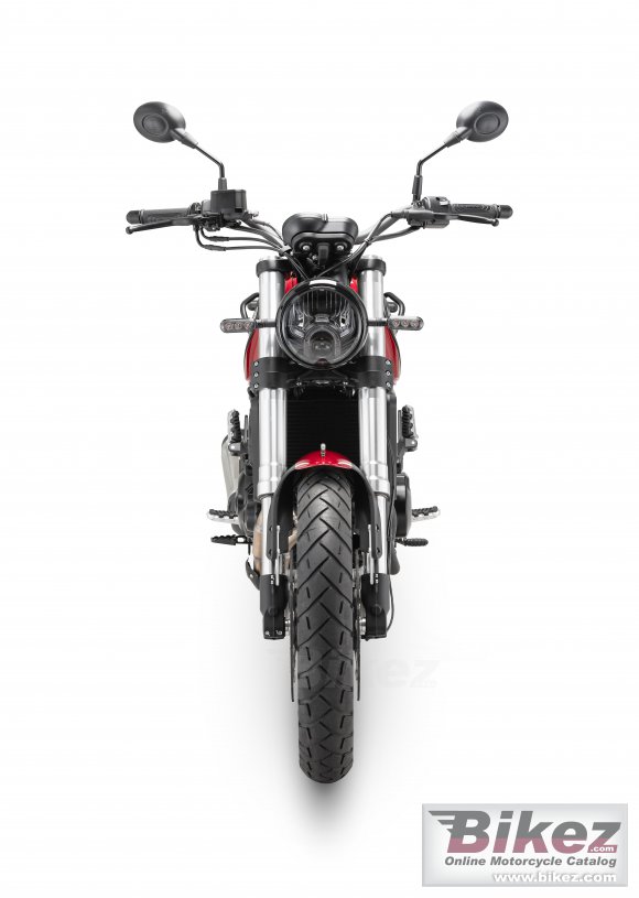 2024 Benelli Leoncino 500 Trail