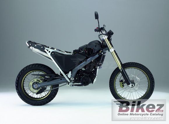 2007 BMW G650X Challenge