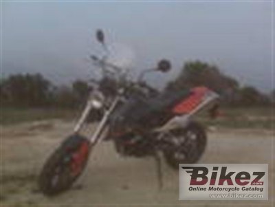 2007 BMW G650X Moto