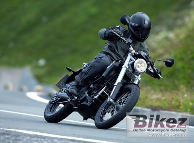 2007 BMW G650X Country