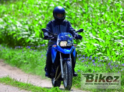 2008 BMW F 650 GS