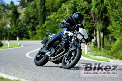 2009 BMW F 800 R