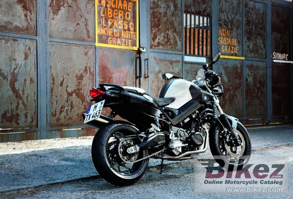 2009 BMW F 800 R