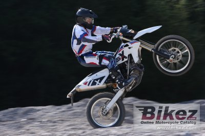 2010 BMW G 450 X