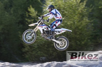 2010 BMW G 450 X