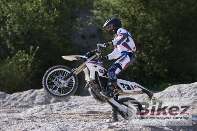 2010 BMW G 450 X