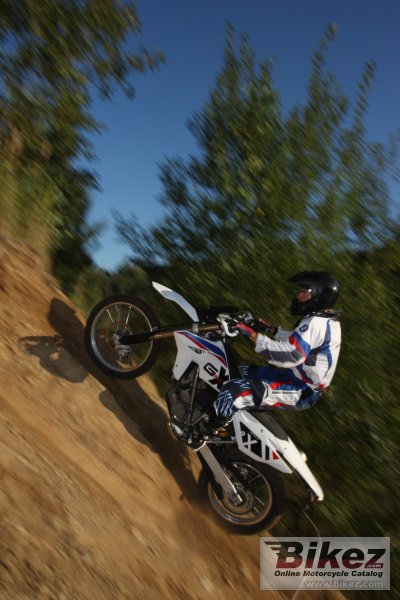 2010 BMW G 450 X