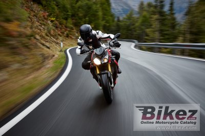 2014 BMW S 1000 R