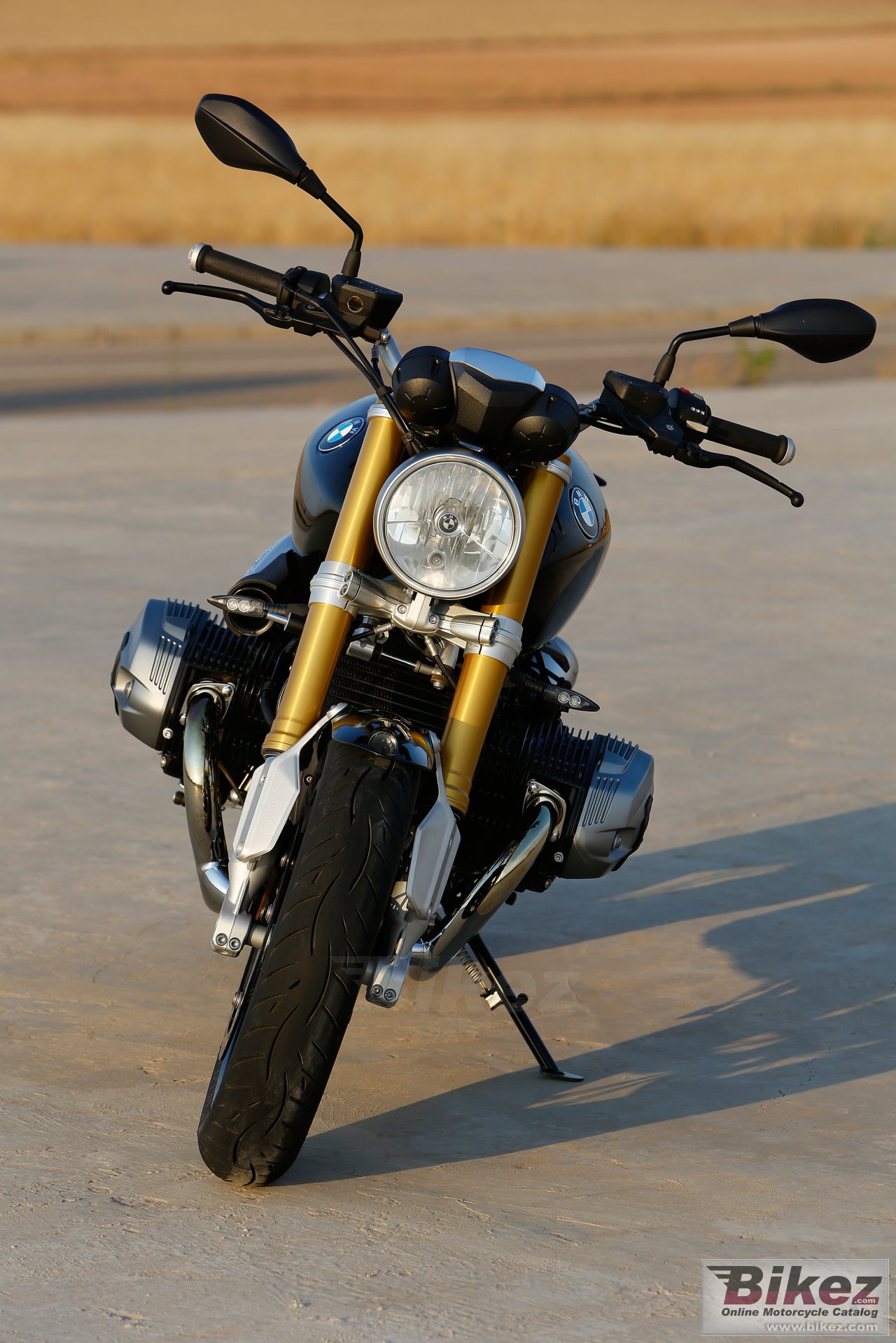 BMW R nine T