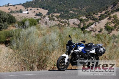 2015 BMW F 800 R