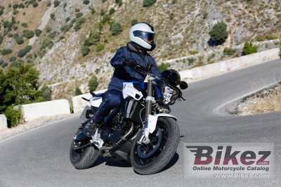 2015 BMW F 800 R