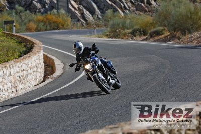 2015 BMW F 800 R
