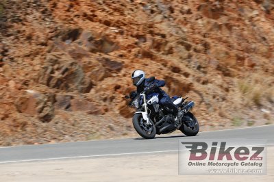 2015 BMW F 800 R