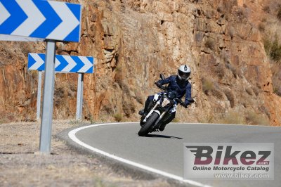 2015 BMW F 800 R