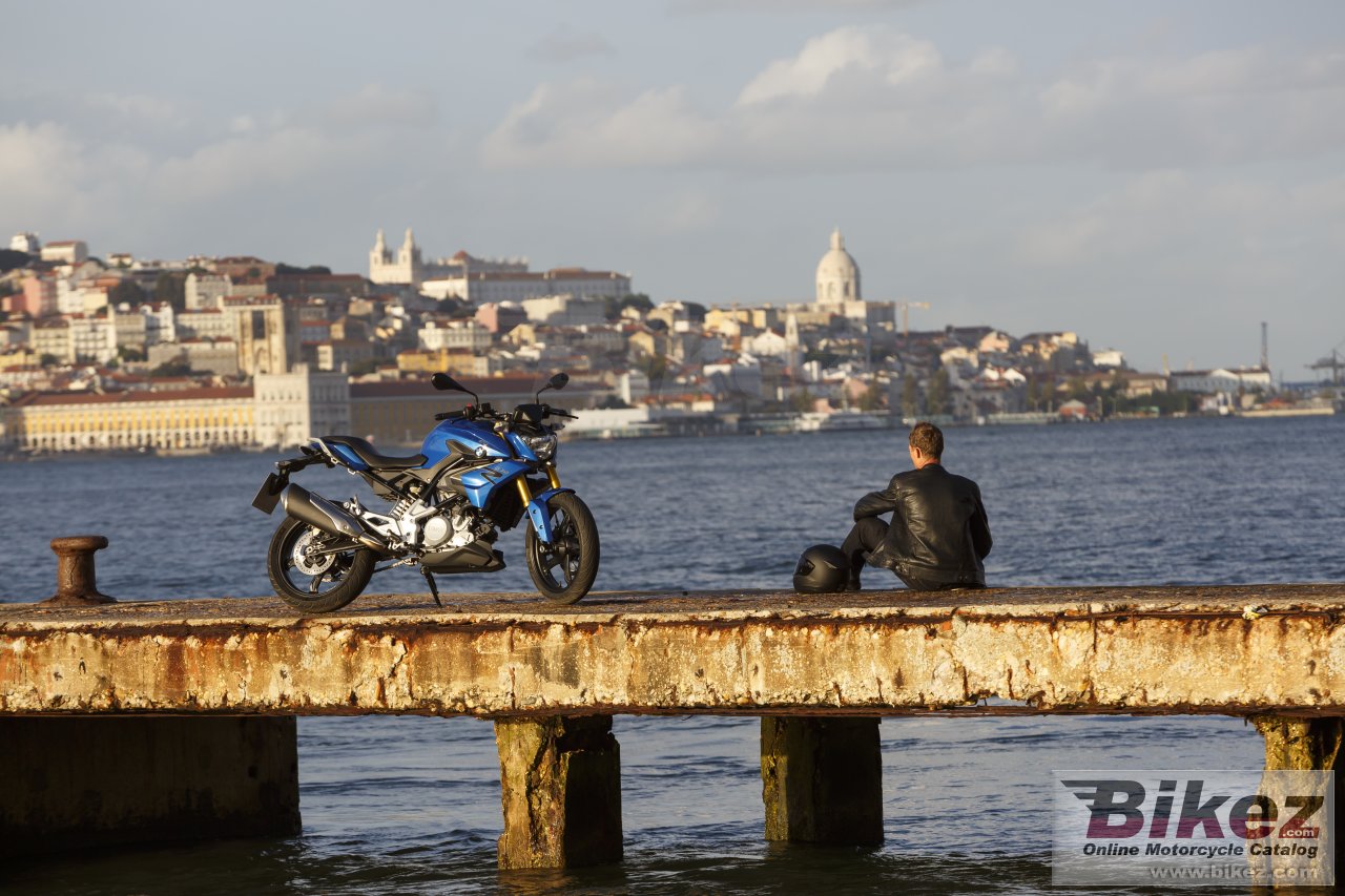 BMW G 310 R