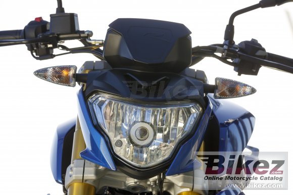 2016 BMW G 310 R