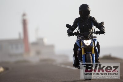 2016 BMW G 310 R