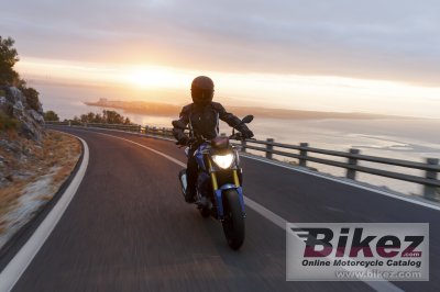 2016 BMW G 310 R