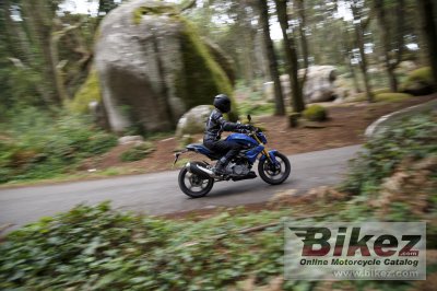 2016 BMW G 310 R