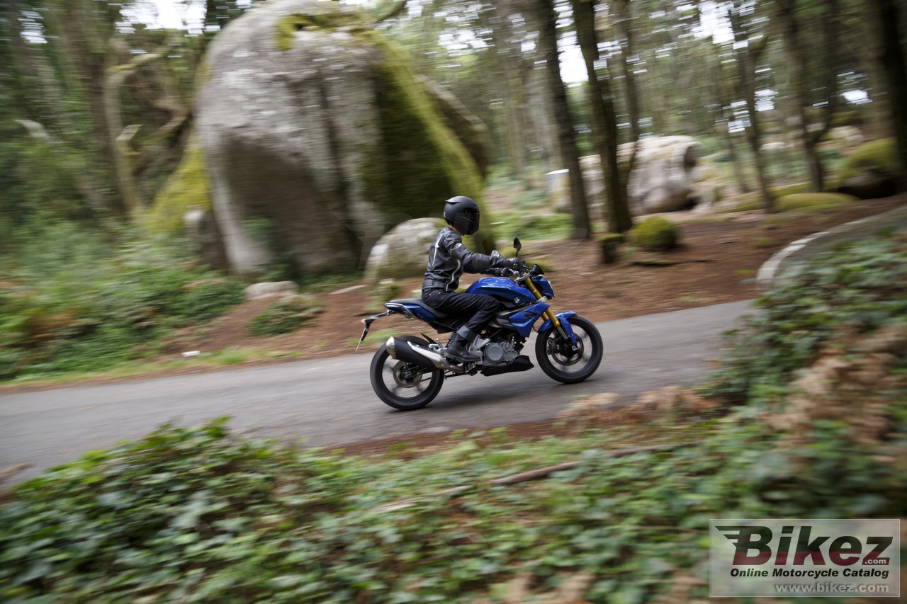 BMW G 310 R