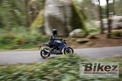2016 BMW G 310 R