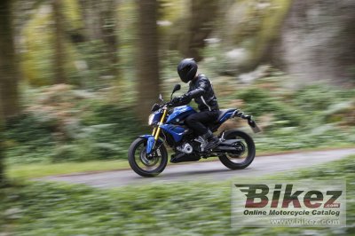 2016 BMW G 310 R