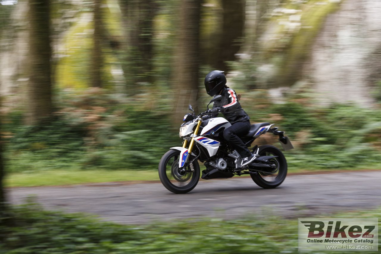 BMW G 310 R
