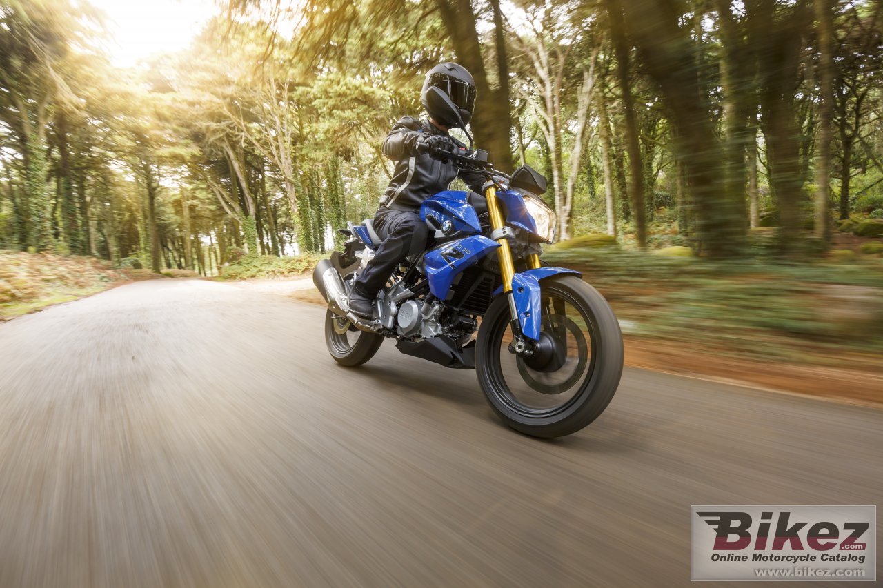 BMW G 310 R