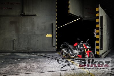 2017 BMW S 1000 R