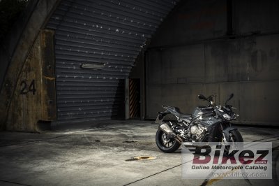 2017 BMW S 1000 R