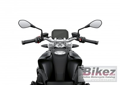 2019 BMW R 1250 R